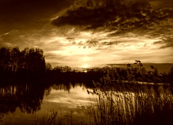 Sepia