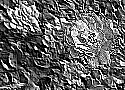 Skamielina