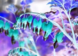 Negatyw
