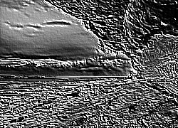 Skamielina