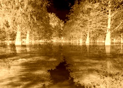 Sepia + Negatyw