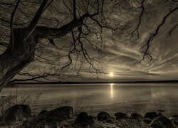 Szary + Sepia