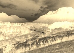 Sepia + Negatyw