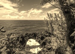 Sepia