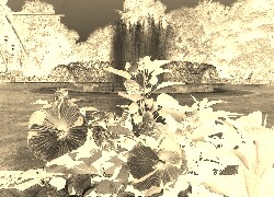Sepia + Negatyw
