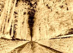 Sepia + Negatyw