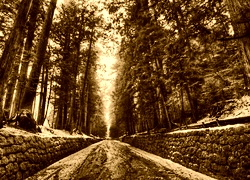 Sepia