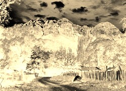 Sepia + Negatyw