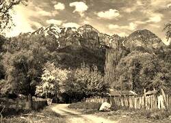 Sepia