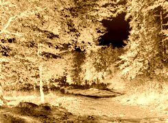 Sepia + Negatyw