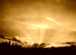 Sepia