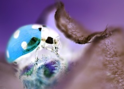 Negatyw