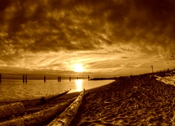 Sepia