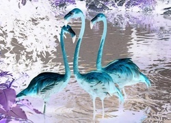 Negatyw