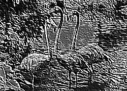 Skamielina