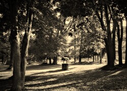 Szary + Sepia