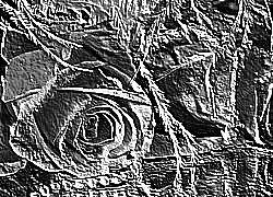 Skamielina