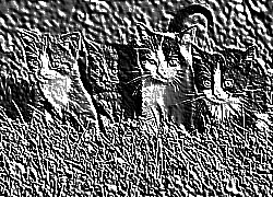 Skamielina