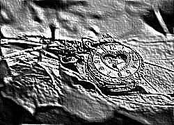 Skamielina