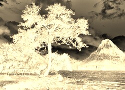 Sepia + Negatyw