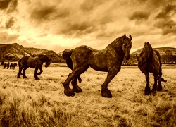 Sepia