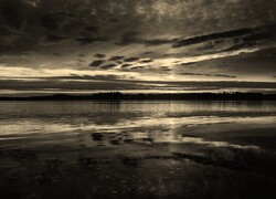 Szary + Sepia