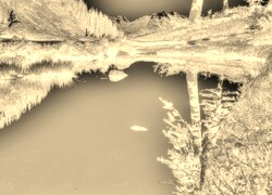 Sepia + Negatyw