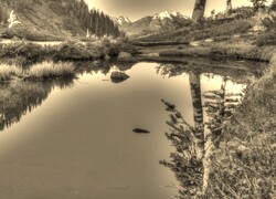 Szary + Sepia