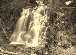 Sepia