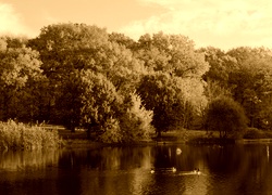 Sepia