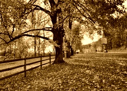 Sepia