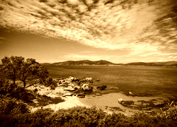 Sepia