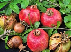 Oryginalny obrazek