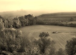 Szary + Sepia