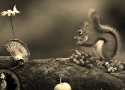 Szary + Sepia