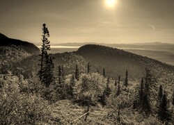 Sepia