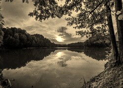 Sepia