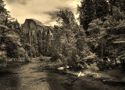 Szary + Sepia