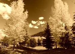 Sepia