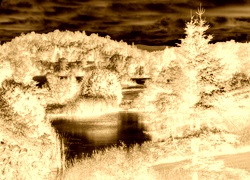 Sepia + Negatyw