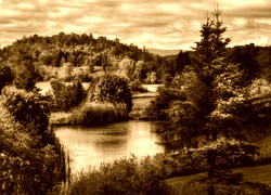 Sepia