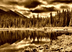 Sepia