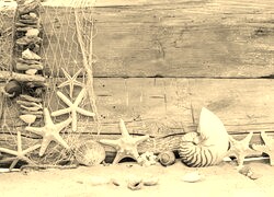 Szary + Sepia