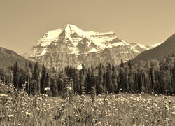 Szary + Sepia