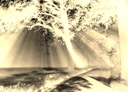 Sepia + Negatyw