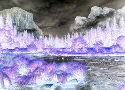 Negatyw