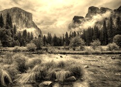 Szary + Sepia
