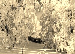 Sepia