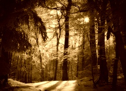 Sepia