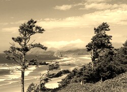 Szary + Sepia